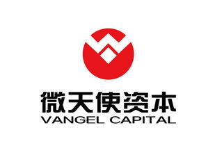 青島微天使商務(wù)信息咨詢(xún)管理企業(yè) 專(zhuān)業(yè)引領(lǐng)，助力企業(yè)騰飛